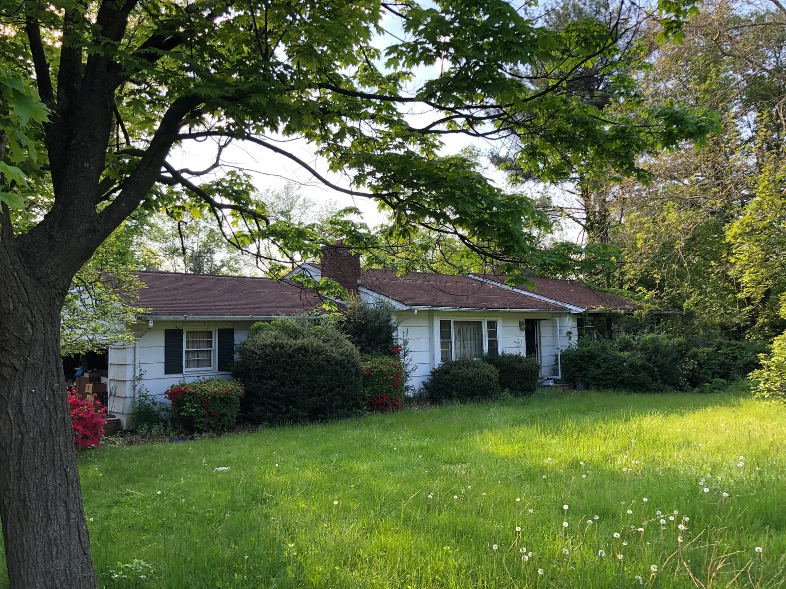 Original ranch home on the lot before demolition